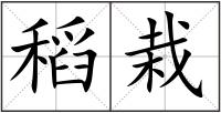 稻栽