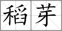 稻芽