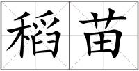 稻苗