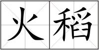 火稻