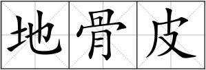 地骨皮