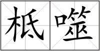 柢噬