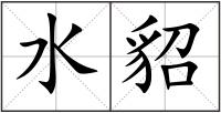 水貂