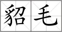 貂毛