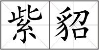 紫貂