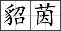貂茵
