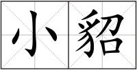 小貂