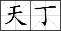 天丁