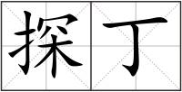 探丁
