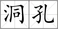 洞孔