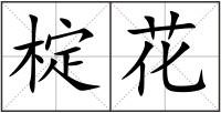 椗花
