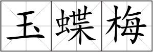 玉蝶梅