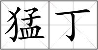 猛丁