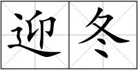 迎冬