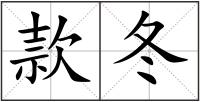 款冬