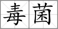 毒菌