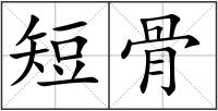 短骨