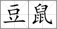 豆鼠