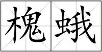 槐蛾
