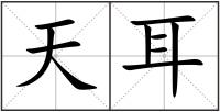 天耳