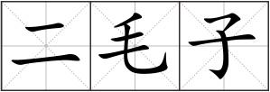 二毛子