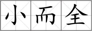 小而全