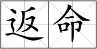 返命