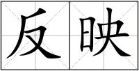 反映