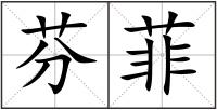 芬菲