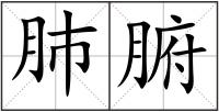 肺腑