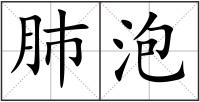 肺泡