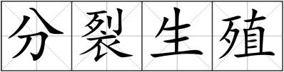分裂生殖