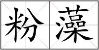 粉藻