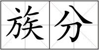 族分