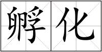 孵化