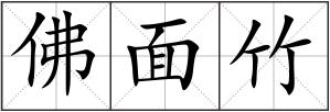 佛面竹