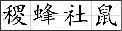 稷蜂社鼠