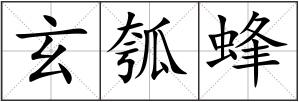 玄瓠蜂