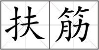 扶筋