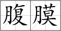 腹膜