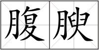 腹腴