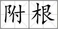 附根