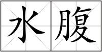 水腹