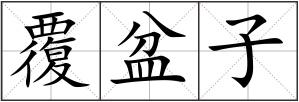 覆盆子