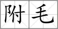 附毛