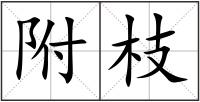 附枝