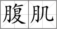 腹肌