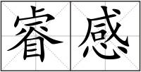 睿感