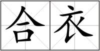合衣