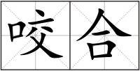 咬合